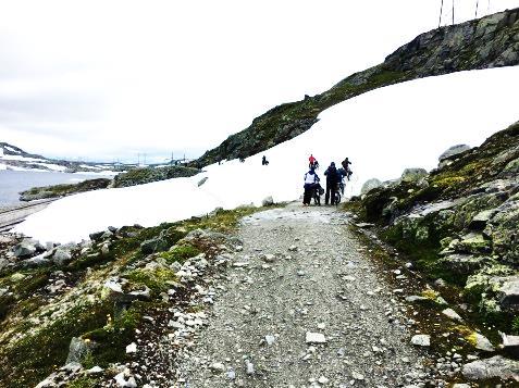 Vi henter ut våre leide sykler på Finse stasjon. Disse syklene er tilpasset den veien vi skal sykle. Fra Finse stiger veien drøye 100 meter til Fagernut der det serveres Rallarvafler og kaffe.