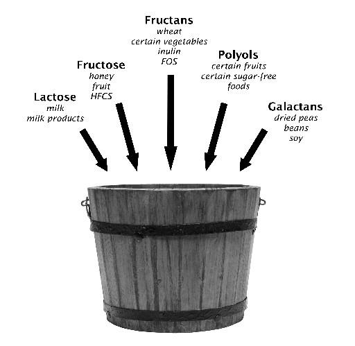 «FODMAP-bøtten» Bøtten er et bilde på hvor stor kapasitet tarmen har til å fordøye den samlede mengden av FODMAP-stoffer i kosten.