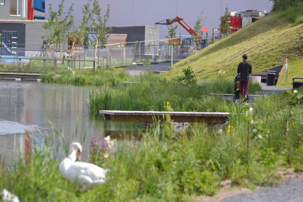 Estetisk kvalitet og økologisk