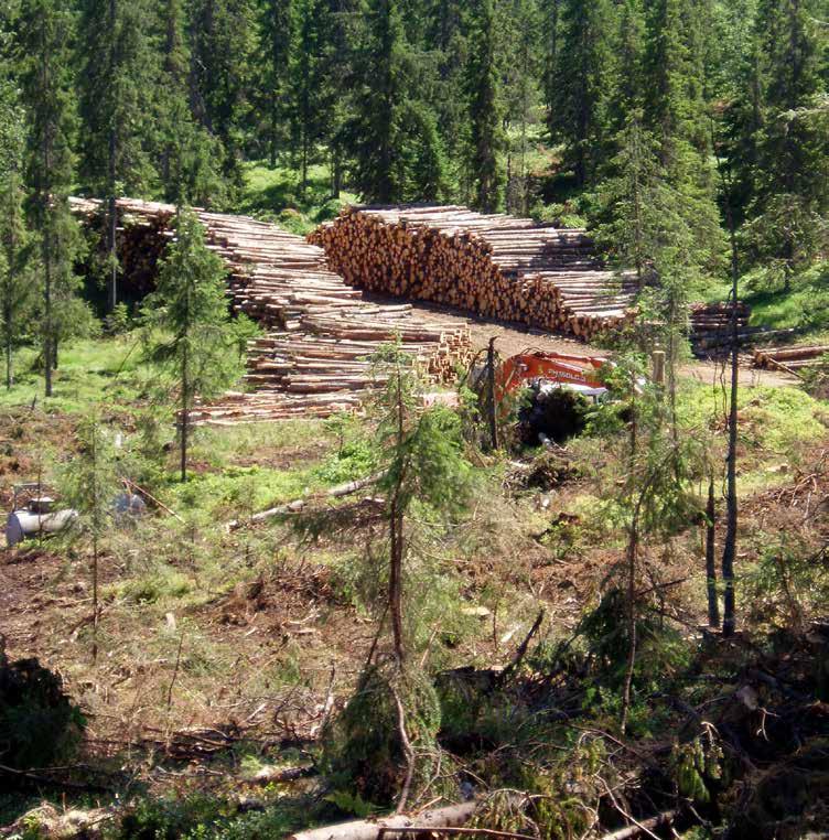 SKOGBRUKSPLANLEGGING DET BØR INNFØRES EN NY OG MER KOSTNADS- EFFEKTIV MODELL FOR SKOGBRUKSPLANLEGGING Skogeiere, myndigheter, forskningsinstitusjoner og tømmeromsetningsselskap har alle behov for