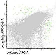 Limit of detection (LOD) : 20 celler / aqired