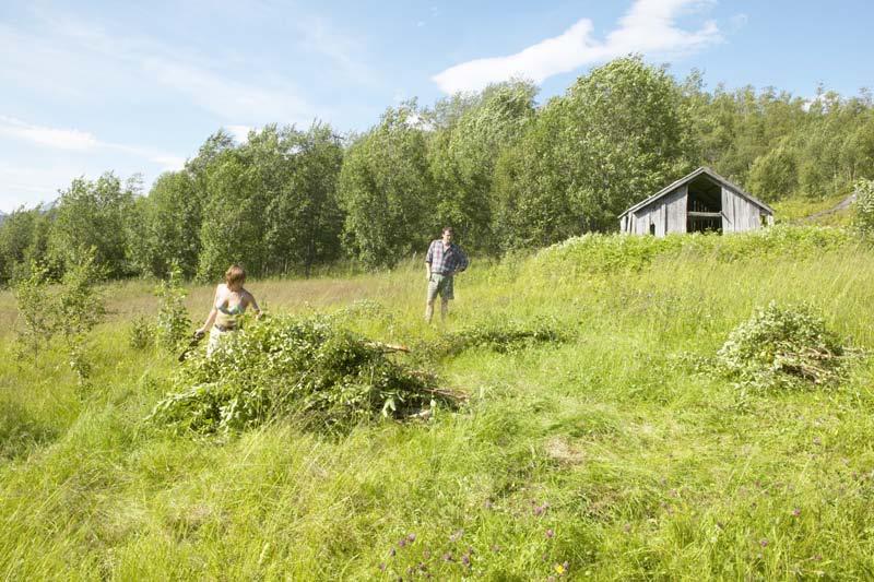 Det hjelper ikke