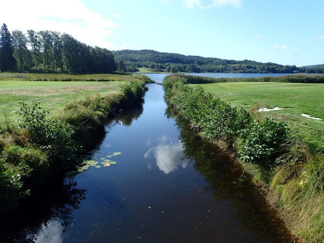 forsuring. Bekken har en kort anadrom strekning til den ender i en foss som er vandringshinder for anadrom fisk.