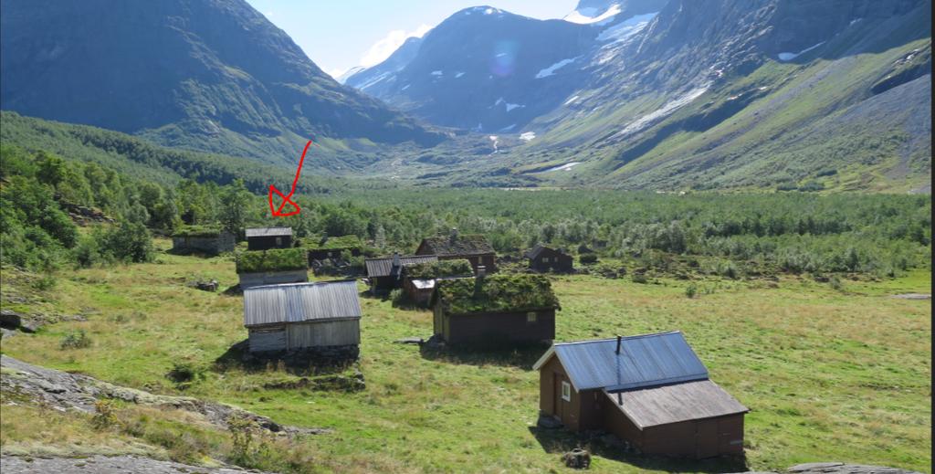 Landskapsbilete på Erdalssetra, på www.fylkesatlas.no blir stølen kalt Storesetra. Det omsøkte selet ligg i ytterkanten, med ei raud pil for å markere plasseringa.