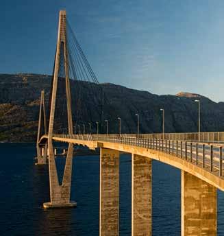 Leirfjord har en elgstamme på rundt 350 dyr og sjansene er derfor store for å se disse mektige og flotte dyrene.