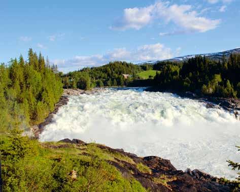 Rødøy Træna Lurøy Nesna Mo i Rana Dønna Leirfjord Herøy Sandnessjøen Mosjøen Hemnes Vevelstad Hattfjelldal Brønnøysund Sømna Grane Bindal grane Porten til Nord-Norge Fjellfolkets rike hattfjelldal