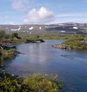På Saltfjellet foto Reiseliv NASJONALPARKENE PÅ HELGELAND har 3 nasjonalparker; Saltfjellet Svartisen nasjonalpark, Lomsdal Visten nasjonalpark og Børgefjell nasjonalpark.