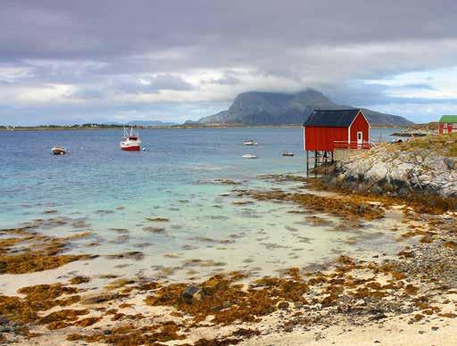 Dag 2: Brønnøysund Ylvingen (ca 30-45 km avhengig av startpunkt) Sykle fra Brønnøysund til Horn langs FV (14 km) og ta ferga til Ylvingen, «Himmelblåøya».