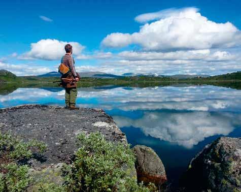 VANDRING PÅ HELGELAND Pakk fjellstøvlene og få fantastiske naturopplevelser på. Her finnes et utall av flotte vandremuligheter, fra enkle til mer krevende og utfordrende turer.