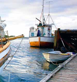 Brønnøysund Brønnøysund Gjestehavn, tlf. 75 01 20 70 / 975 40 518. Gjesteplasser: 30 Posisjon: N65 28.419 EO12 12.484. Igerøy Gjestehavn, tlf. 950 57 494. Gjesteplasser: 16 Posisjon: N65 40.