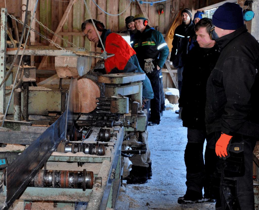 I gamle hus vil en se at yteveden er oppspist av stripet borebille, pga gunstig fuktighet og temperatur, mens margveden er like fin. Furu brukes også i dører, vinduer og i noe listverk.