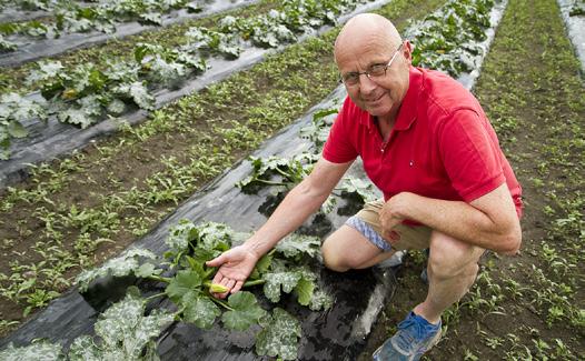 Erik Rosnes i Rosnes gårdsdrift AS viser fram økologiske squash. Han har tro på at økologisk produksjon både er viktig og riktig for norsk landbruk.