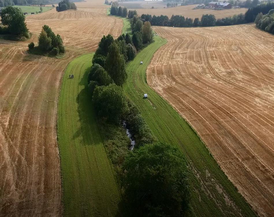 VEGETASJONSPLEIE av kantsoner