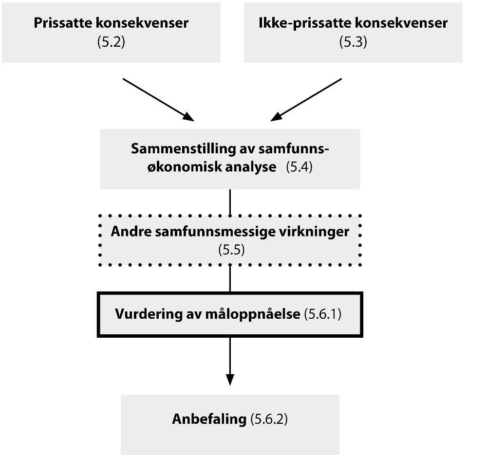 5 av 13 Vurdering av måloppnåelse er beskrevet i kapittel 9 Anbefaling i håndbok V712.