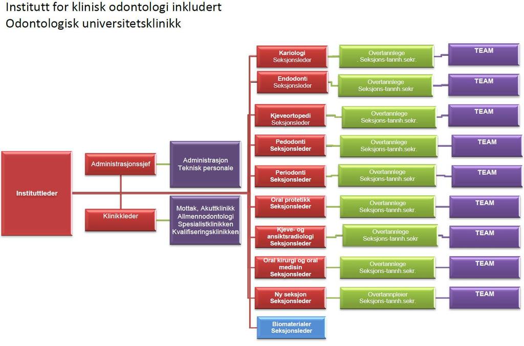 2.1.2 Institutt for klinisk odontologi: Organisasjonskart Fra 1.1.2017 ble sammenslåing av tre mindre seksjoner effektuert.