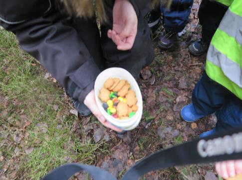 skogen på jakt etter påskeegg.