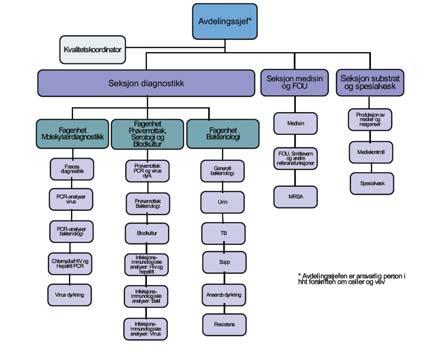 Avdeling for medisinsk mikrobiologi 2018 Omorganisering av fæceslab.