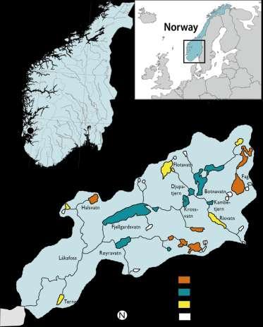 Fisken i Vikedalsvassdraget Berre aure i alle vatn, bortsett frå røye i 2 Intervjudata frå alle vatn, samt