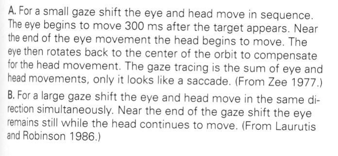 Retningsorientering av fovea mot et objekt når hodet beveger seg krever koordinerte hodeog