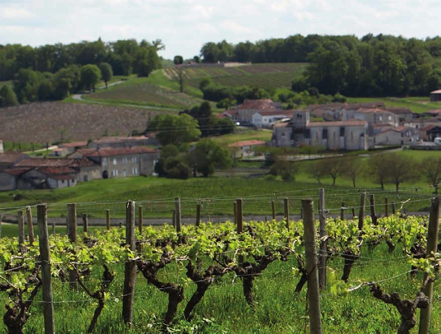 COGNACS 6 CRUS Området Cognac ligger like nord for Bordeaux, og deles inn i seks underområder etter generell kvalitet og forskjeller i jordsmonn. GRANDE CHAMPAGNE utgjør «hjertet» i Cognacregionen.