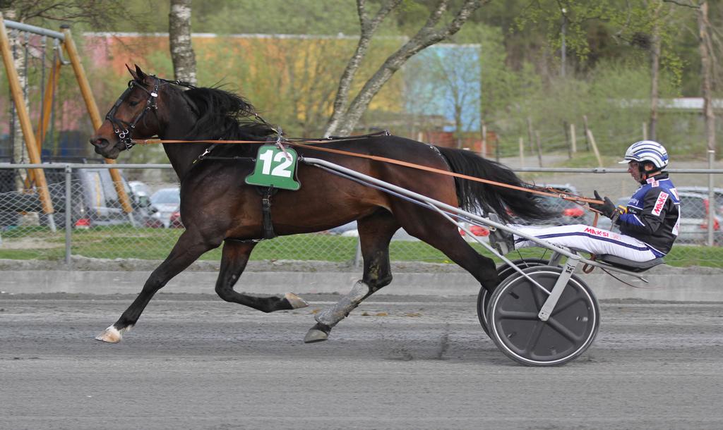 18:00 Årsdebut av Greyhound D Estino!