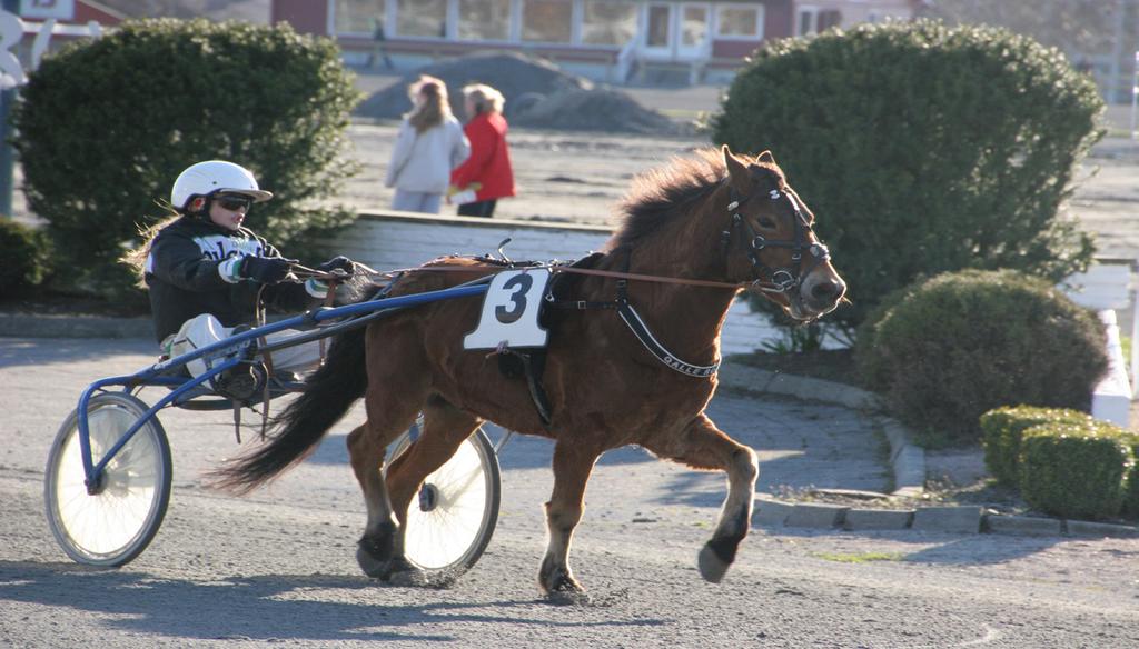 Start ca. kl. 18.00 Montéprøveløp 2040 m. Monté. Voltestart. Varmblods: 4 år og eldre 1.23,0 Kaldblods: 5 år og eldre 1.42,0 1 ST 2017: 2 0-0 -0-2 -36,4v -4.000 2016: 1-0 -0-0 -1-38,8v -2.