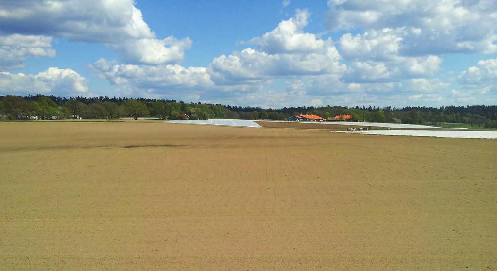 Tidligproduksjon Kartene viser jordkvalitet og egnethet for tidligkulturer på kystnære arealer i Vestfold. I dette området er dyrking av tidligkulturer en økonomisk svært viktig produksjon.