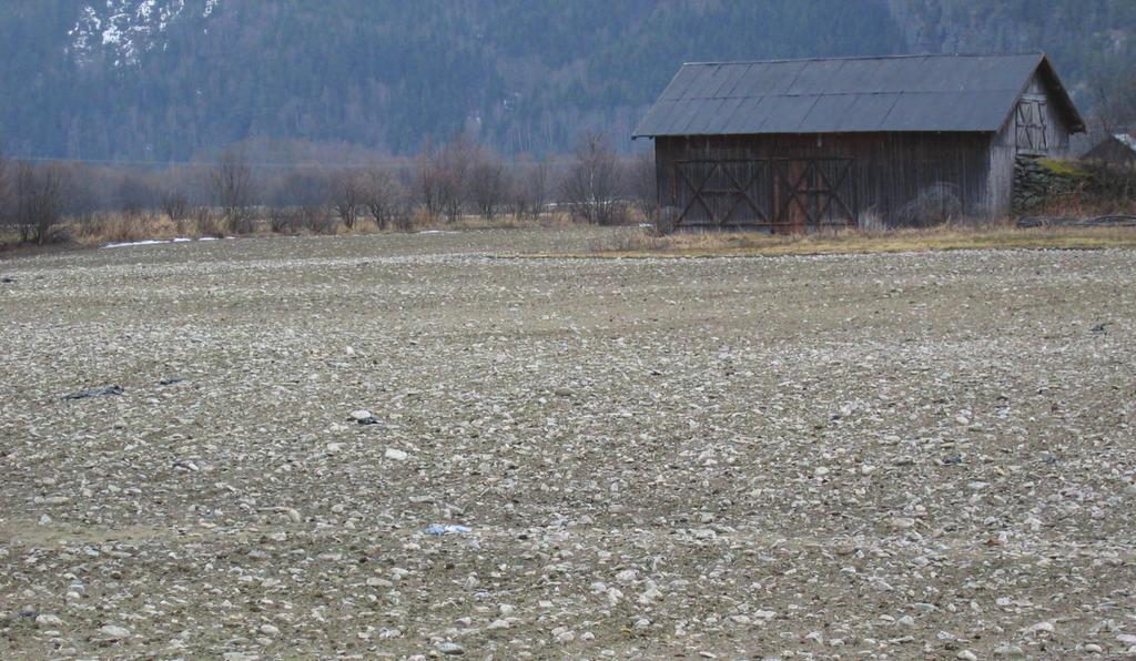 Begrensende egenskaper Leptosol-landskap i Ringebu i Oppland. I Gudbrandsdalen kalles denne jorda for fyru som betyr «svært steinete jordmark».