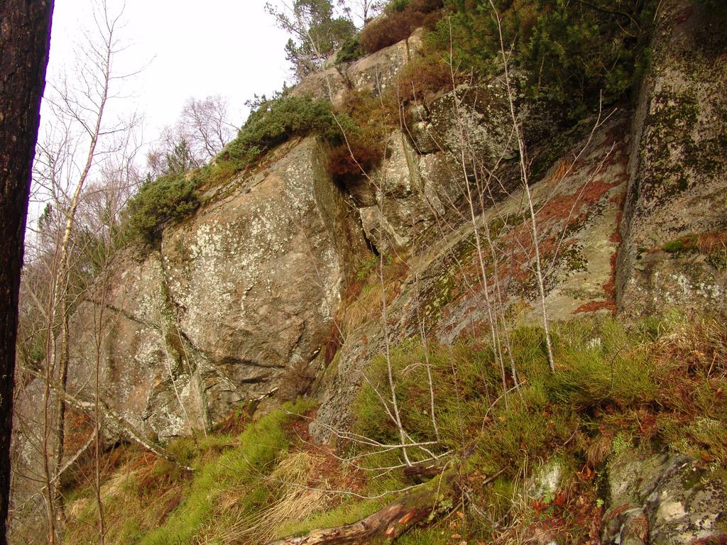 Mulesvingen. Nordøst for den øverste bebyggelsen i Mulesvingen finnes markerte steile bergskrenter, 10-20 meter høye.
