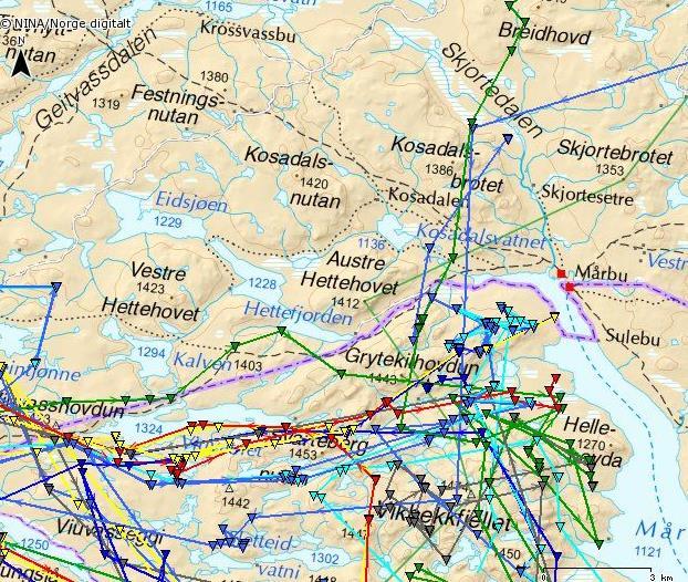 2014: Mye dyr krysset fredningssona før og under jakta dette året.