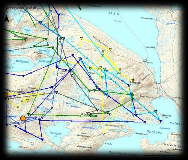 Dette ville også øke muligheten til å få reinen nord for Lågen og dermed inn i Hordal