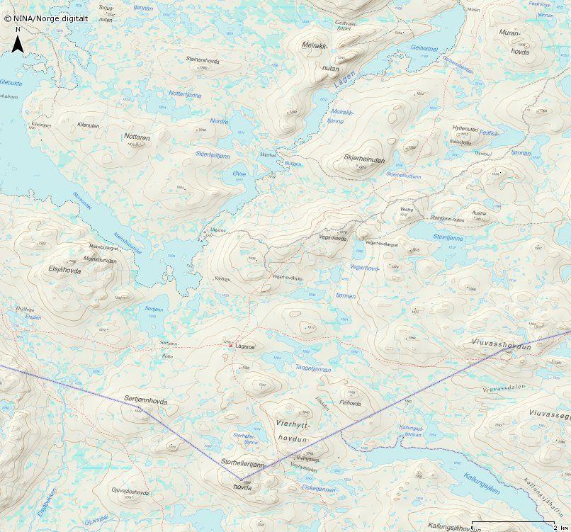 Fredningssone Øvre Numedal statsallmenning 20/8 t.o.m. 5/9 20/8 5/9 Grense 2013 På Øvre Numedal statsallmenning ble det etablert en fredningssone i Lågaros-området.