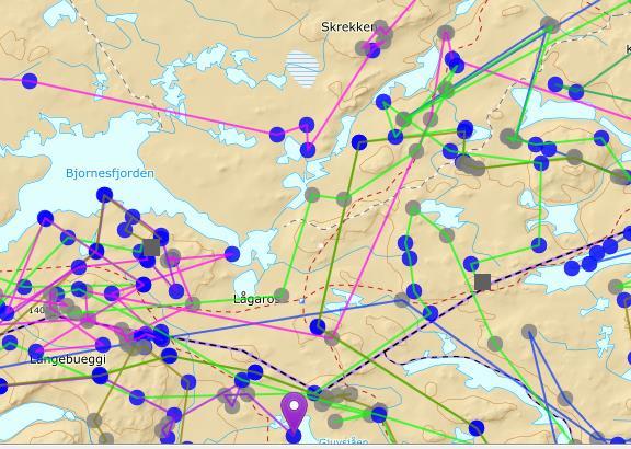 Det ble imidlertid observert flokker som slo seg til ro i fredningssonen ved Lågen og fra tidligere tider var dette første steg for