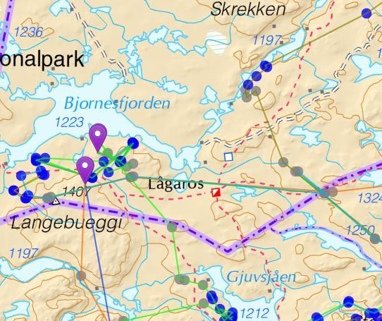 De første dagene av jakta var det minst to flokker nord for Lågen, men det er noe varierende meninger om disse har krysset nordover