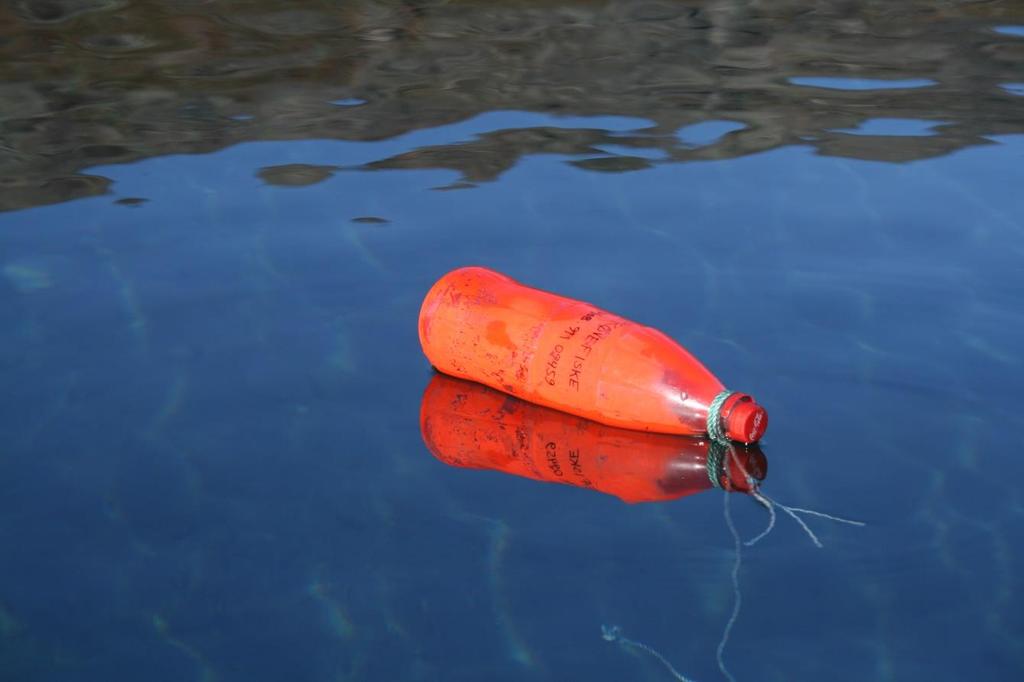 . Rapport 1-7 Fiskebiologiske undersøkelser i