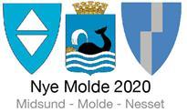 Nye Molde kommune Kommunedelsutvalg I intensjonsavtalen er det avtalt en forsøksordning med kommunedelsutvalg i Nesset. Arbeidsgruppen har diskutert fordeler og ulemper med slike utvalg.