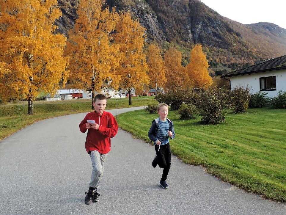 Resultatvurdering Skulane i Nesset har delteke på den toårige nasjonale satsinga «Ungdomstrinn i utvikling» med rekning som valt satsingsområde.