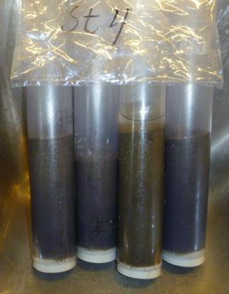 Foto av bunnprøvene, som ble tatt med dykker, er vist i Figur 3. Dersom det ikke framgår av beskrivelsen av den enkelte prøve, er det ikke registrert lukt av H 2S i sedimentet.