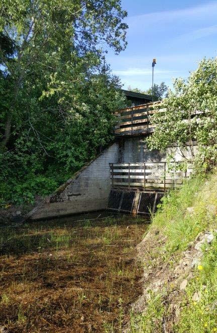 Sjekkliste med funn: Sjekkliste er vedlagt vedlegg 1 til rapporten. Funn 1: Mangler gjerde og skilting ved utløpsrør. Se bilde 1 utløpsrør.