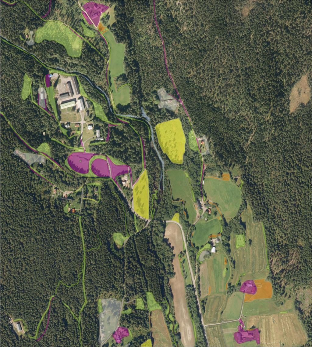 I Marka er den nye skogen også knytta til menneskelig aktivitet, i tilknytning til jordbruksvirksomhet, idrettsanlegg og friområder hvor arealbruken endres tilfeldig eller planlagt.