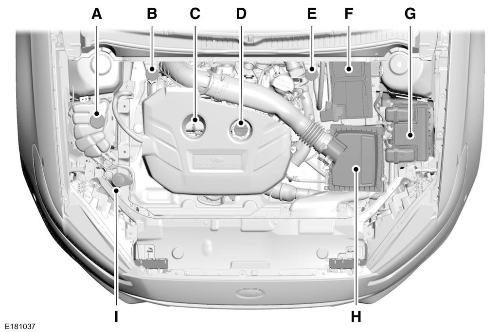 Vedlikehold OVERSIKT UNDER PANSERET - 2,0 L ECOBOOST A. B. C. D. E. F. G. H. I. Beholder for motorens kjølevæske Se Tåkelys foran (side 247). Beholder for bremse- og clutchvæske (høyrekjørt).