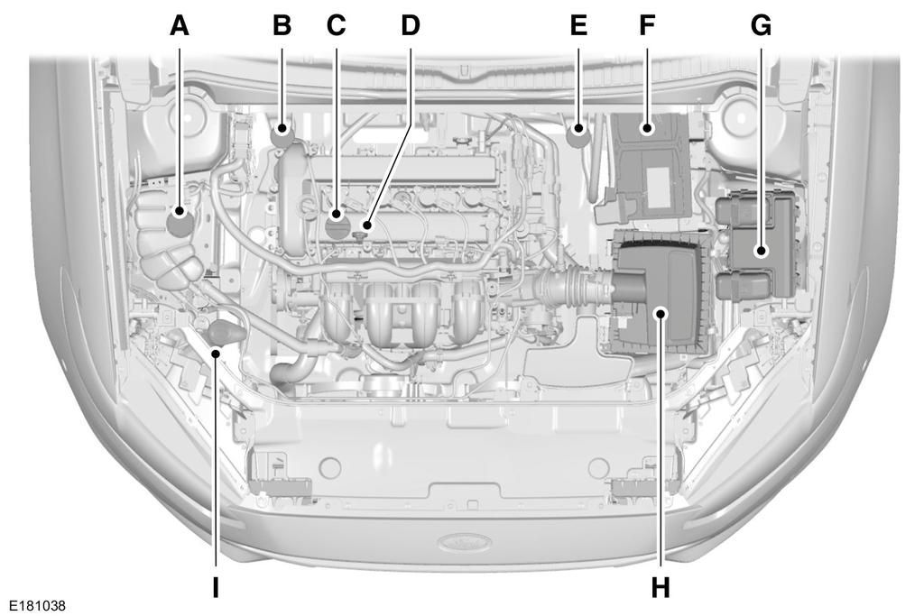 Vedlikehold OVERSIKT UNDER PANSERET - 2,5 L A. B. C. D. E. F. G. H. I. Beholder for motorens kjølevæske Se Tåkelys foran (side 247). Beholder for bremse- og clutchvæske (høyrekjørt).