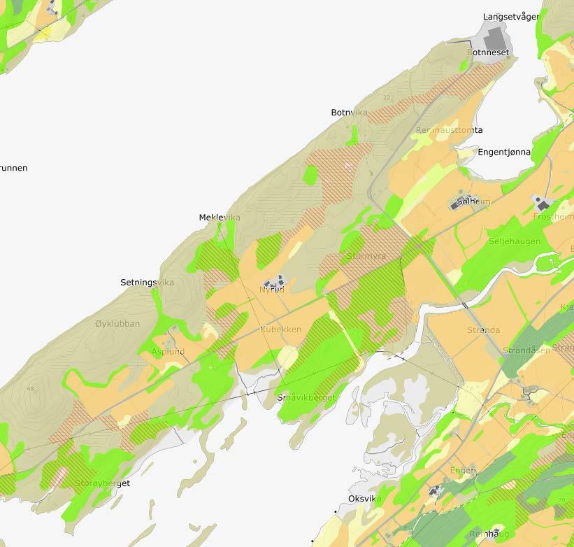 7 Virkninger / konsekvenser av planforslaget og avbøtende tiltak Figur 7-9-2: Utsnitt av kart som viser jordbruksareal, dyrkbar jord og treslag. Brune arealer er fastmark og myr. (kilden.