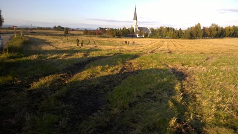 arter Kjøring inne i nasjonalparker og naturreservat