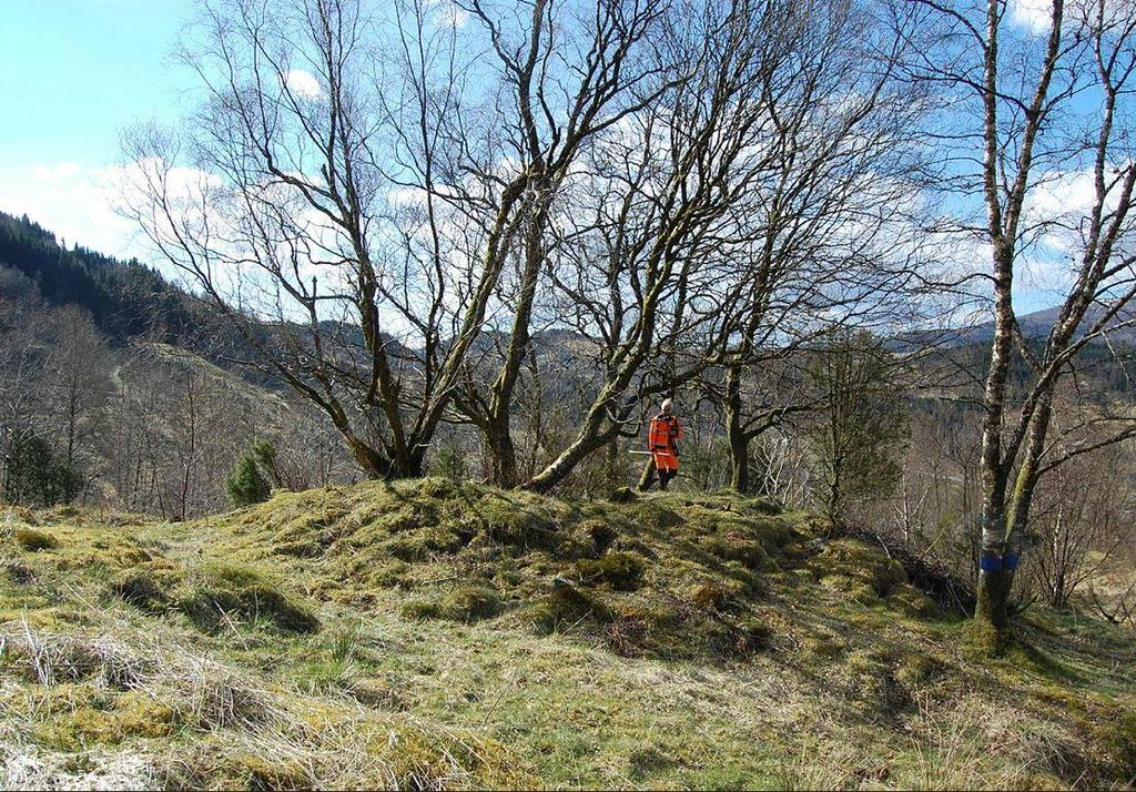 Rapporttittel 7 Figur 8. Eit av dei fem gravrøysane på gravfeltet Vellane.