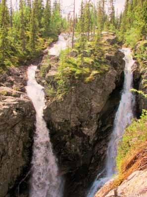 RT-tur til hjertet og indrefileten av Vassfaret, juni 2014 Tekst og foto: Ole-Martin Høgfoss Første helgen i juni er det tradisjon for RT å arrangere Vassfartur.