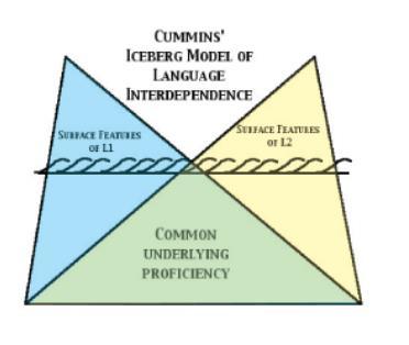 What characterises multlilingual language learners?