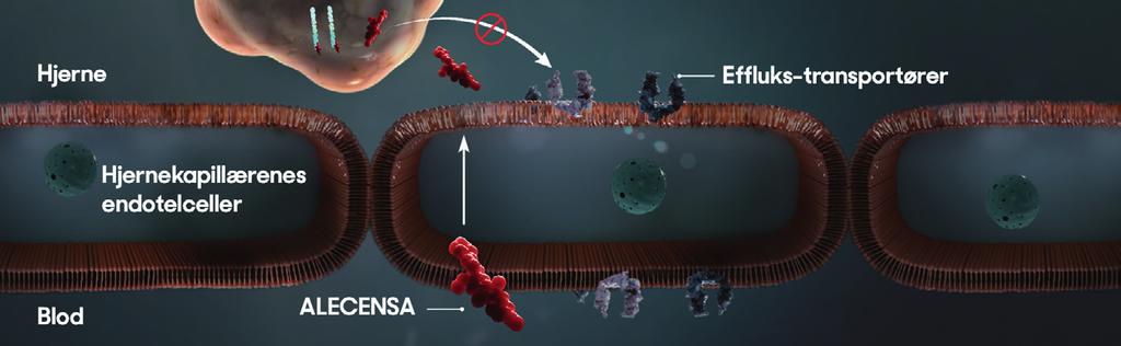 ALECENSA er en selektiv og potent ALK-hemmer (2) ALECENSA viser aktivitet mot muterte former av ALK-enzymet, inkludert mutasjoner som forårsaket crizotinib-resistens in vitro og in vivo.