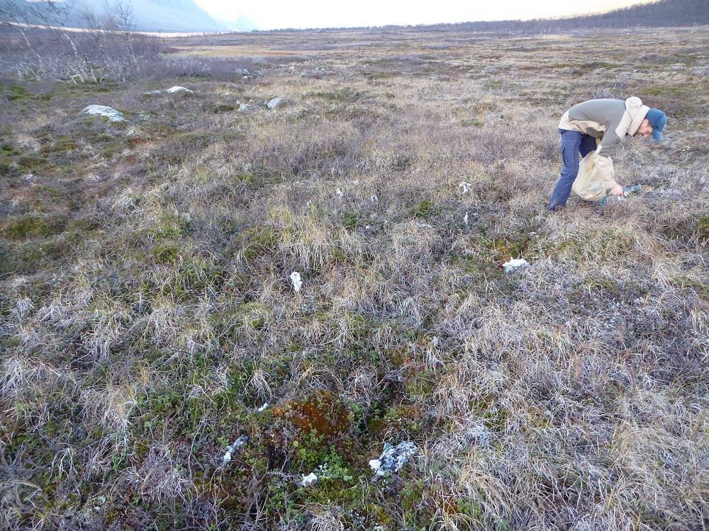 Søppelplukking etter vintercamp ved Eartebeal. Foto:SNO Vi ser også en del "kreative" løsninger på å komme seg lettvint inn til det mest populære fiskevatnet i nasjonalparken, Eartebealjavri.