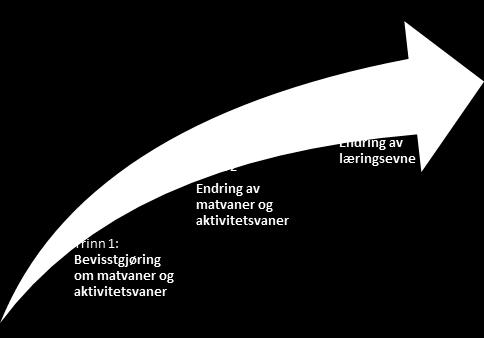 2.2 Målgruppe og målsetning Målgruppe Sunne og Aktive Liunger ble innført høsten 2013 som et treårig utviklingsprosjekt i øvre Lier.